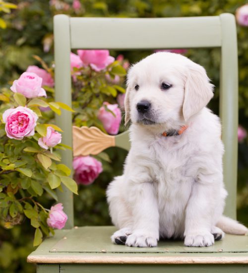 wallpaperflare.com_wallpaper (39)